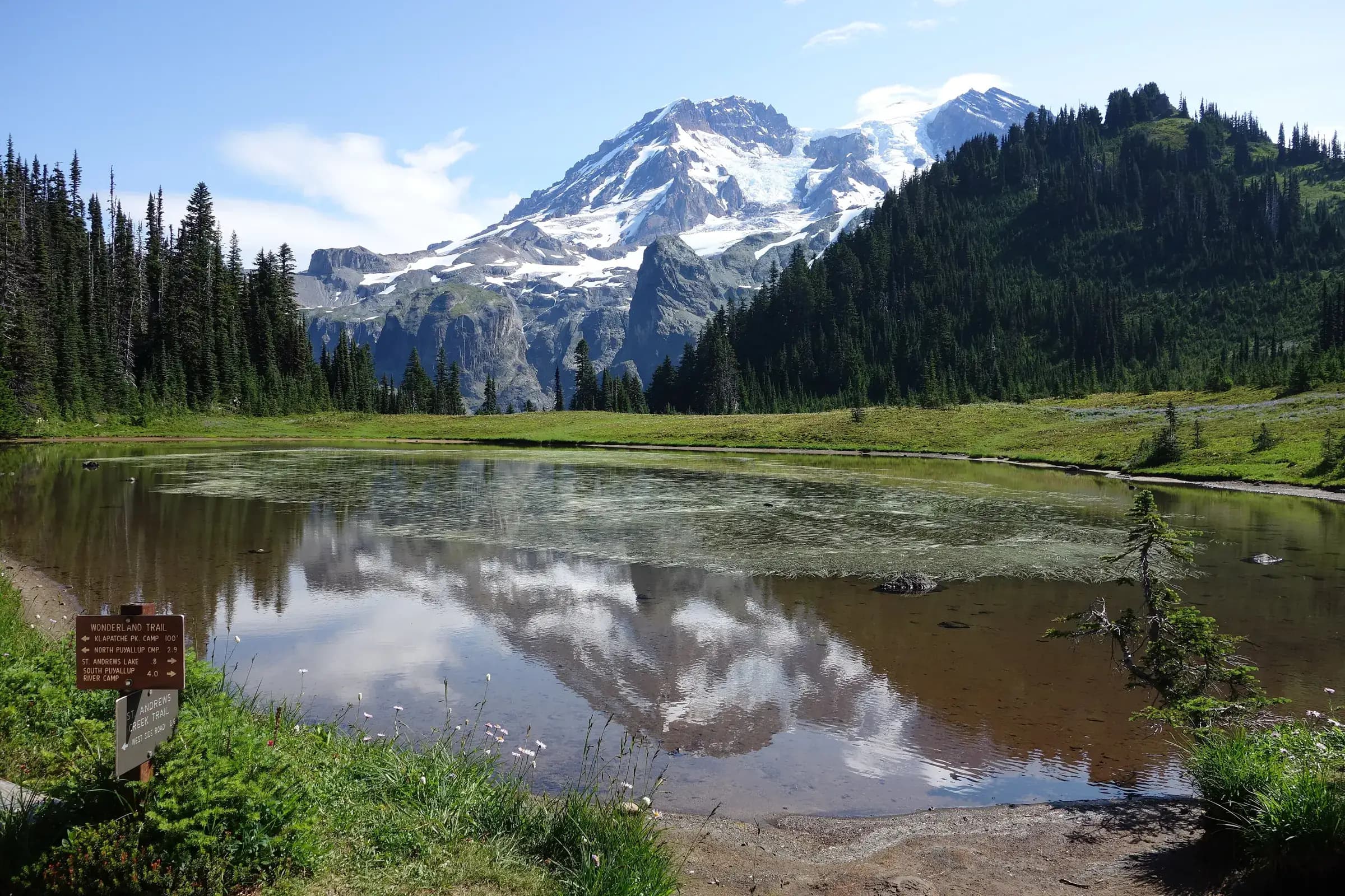 Mount Rainier reflected in Aurora Lake